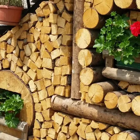 بيت خشبي Dolomiti Di Brenta *